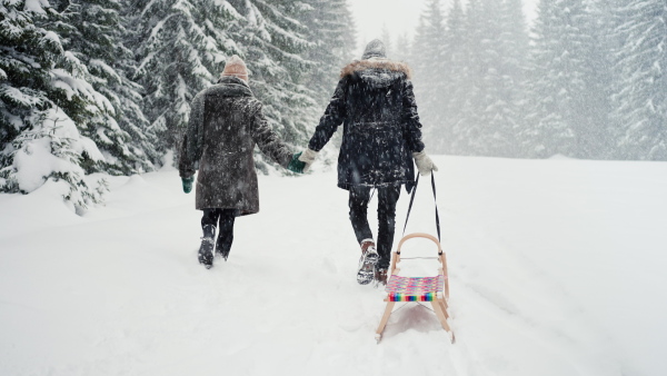 A happy young couple in love walking and carrying sledge in winter under falling snow.