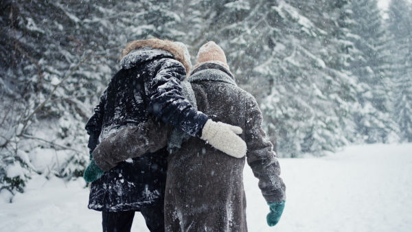 A happy young couple in love walking in wintery nature under falling snow, rear view.