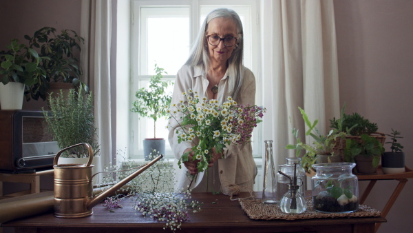 A happy senior woman taking care of plants indoors at home.