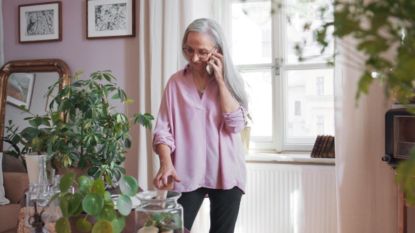 A relaxed senior woman making a phone call at home.