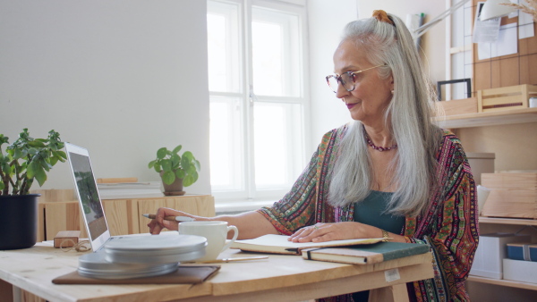 A creative senior woman with laptop sitting by desk and working by laptop in office.