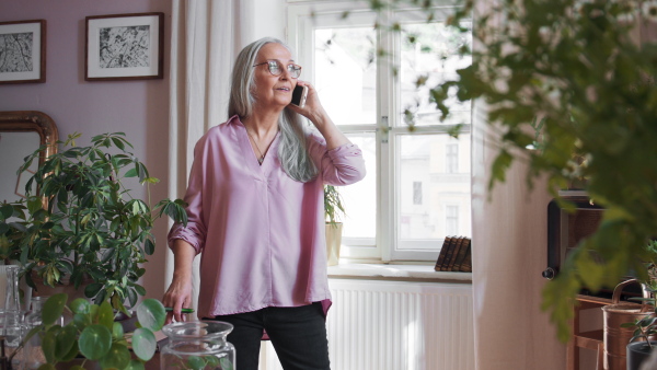 A relaxed senior woman making a phone call at home.