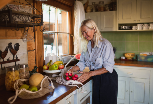 A happy senior woman unpacking shopping indoors at home, sustainable lifestyle.