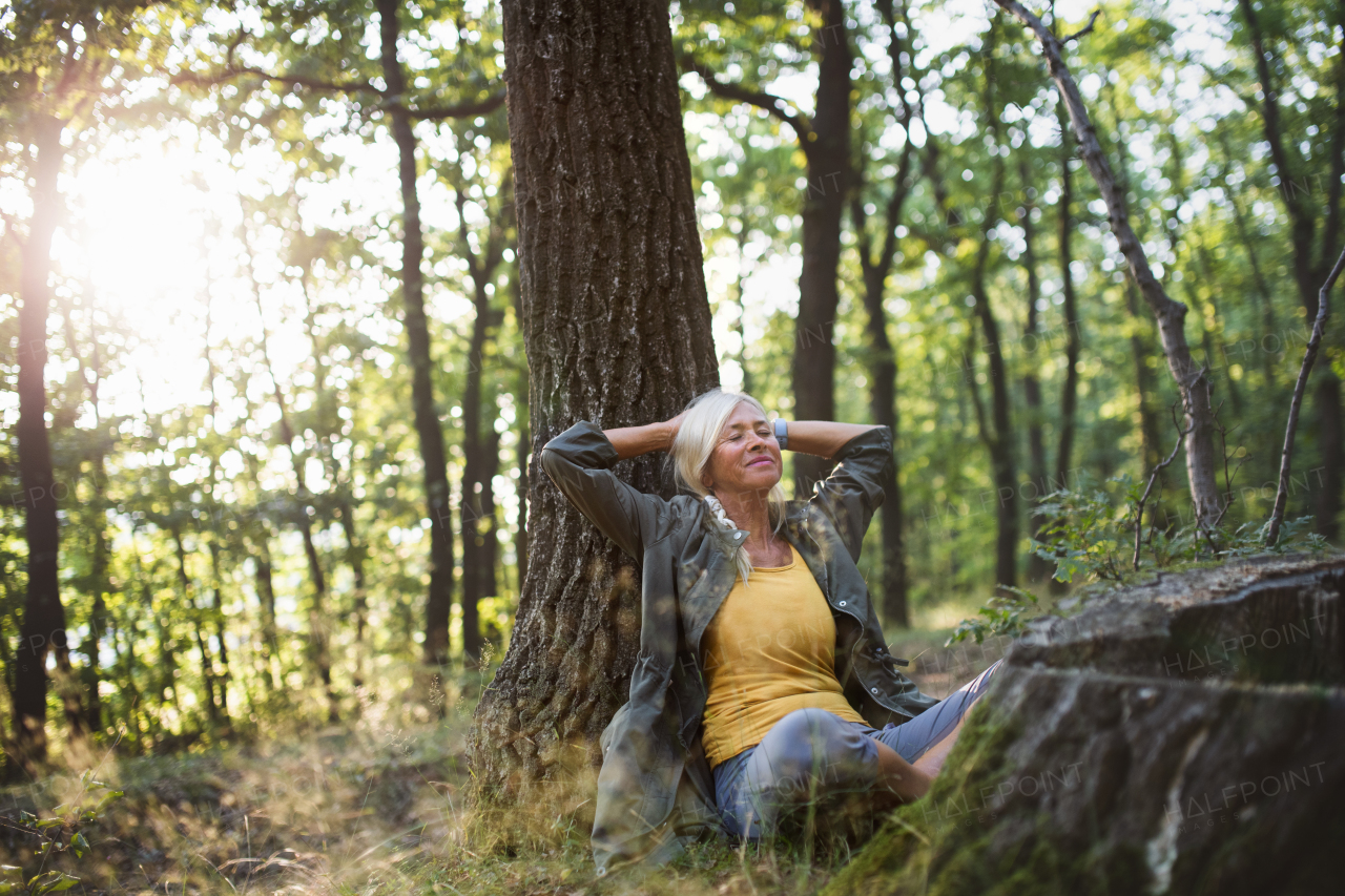 A portrait of senior woman relaxing and sitting with eyes closed outdoors in forest.