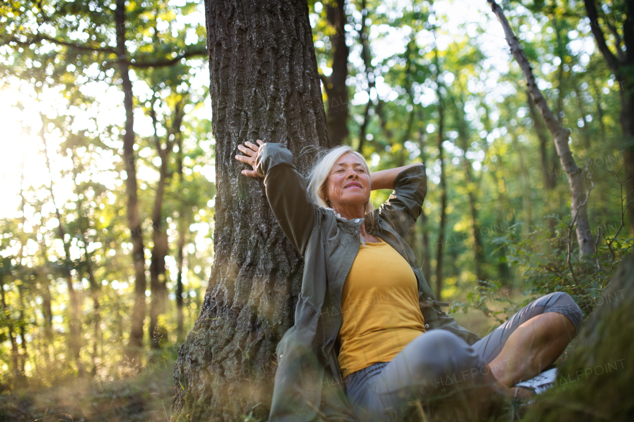 A portrait of senior woman relaxing and sitting with eyes closed outdoors in forest.