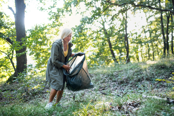 A senior woman ecologist with bin bag picking up waste outdoors in forest.