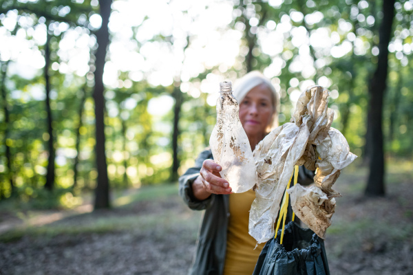 A senior woman ecologist with bin bag picking up waste outdoors in forest.