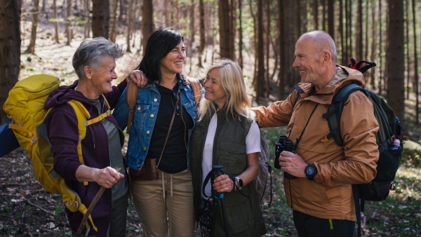 Portrait of group of seniors hikers outdoors in forest in nature, looking at camera.