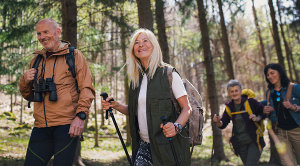 Portrait of group of seniors hikers outdoors in forest in nature, walking.