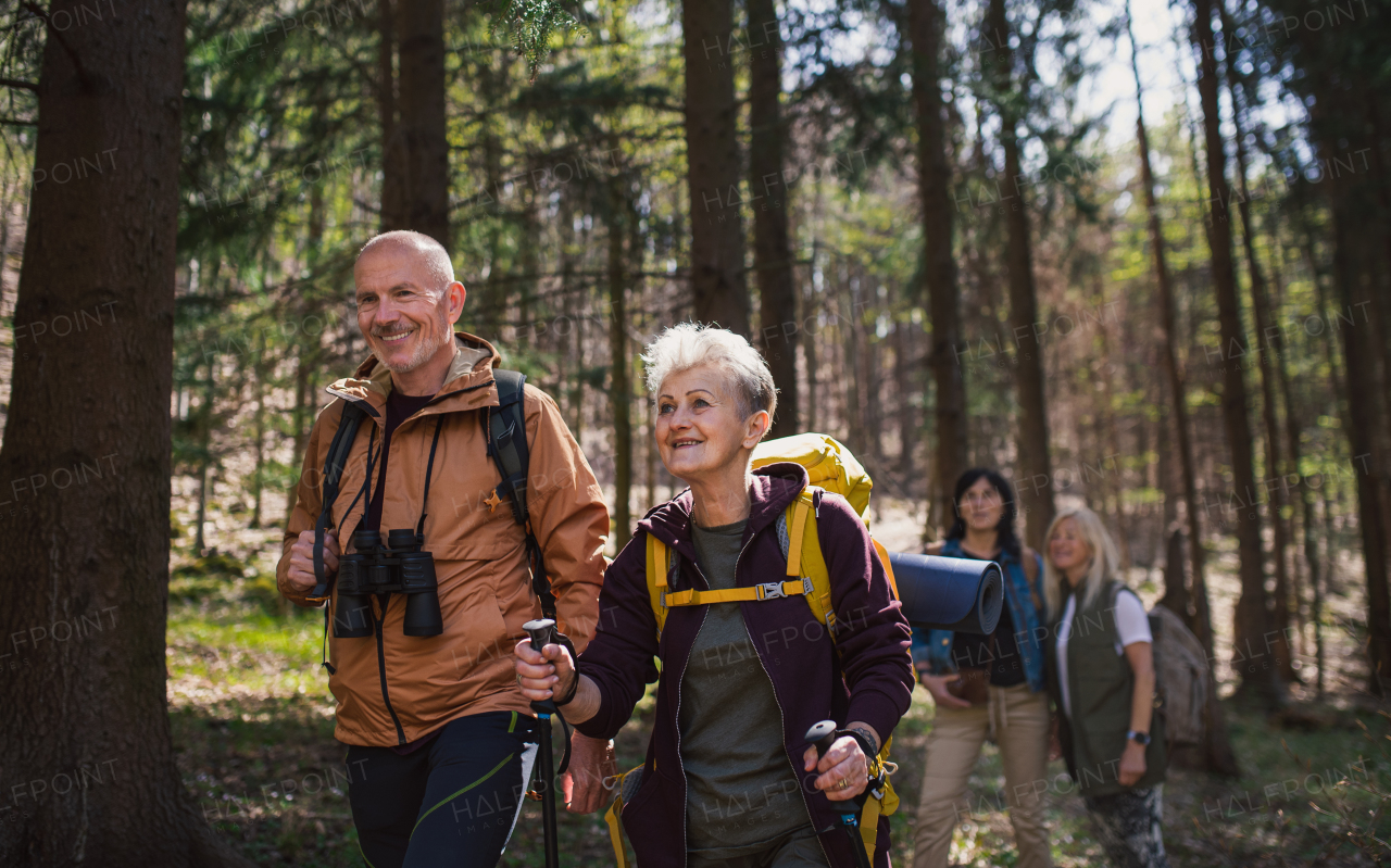 Portrait of group of seniors hikers outdoors in forest in nature, walking.