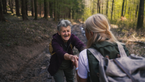 Happy senior women hikers outdoors walking in forest in nature, helping each other.