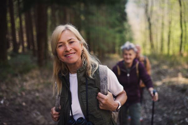 Happy senior women hikers outdoors walking in forest in nature, looking at camera.