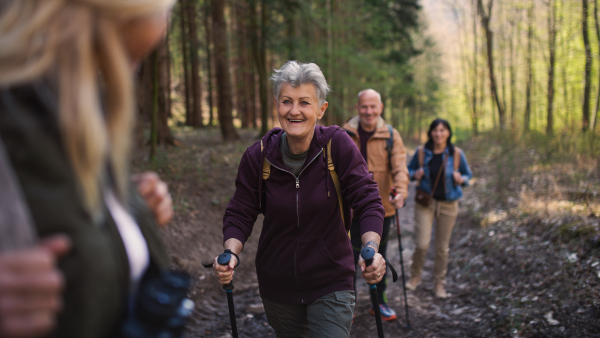 Portrait of group of seniors hikers outdoors in forest in nature, walking.