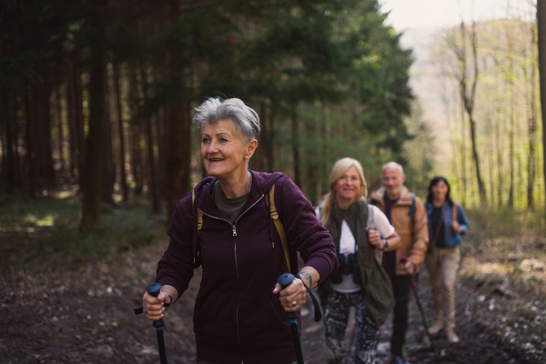 Portrait of group of seniors hikers outdoors in forest in nature, walking.