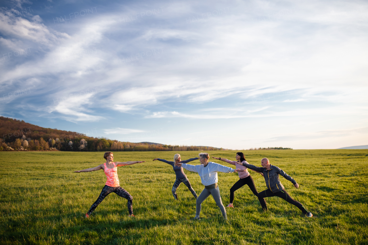 A group of seniors with sport instructor doing exercise outdoors in nature, active lifestyle.