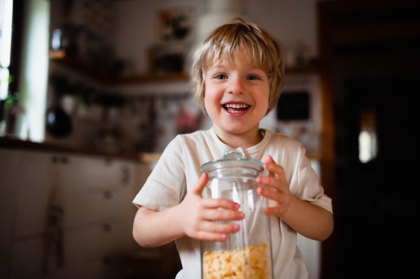 Portrait of a cute small boy holding container with cornflakes indoors at home, looking at camera.