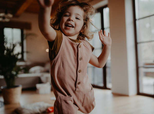 A portrait of cute small running indoors at home, looking at camera.