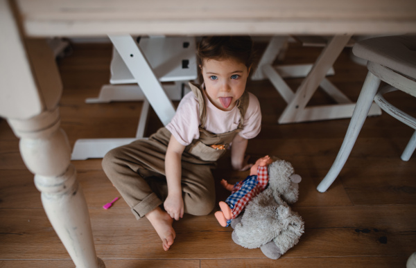 A portrait of cute small girl sitting on floor under table indoors at home, sticking tongue out.