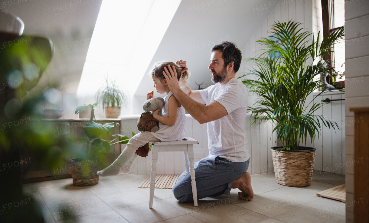 A mature father with small daughter indoors in bathroom at home, combing hair.