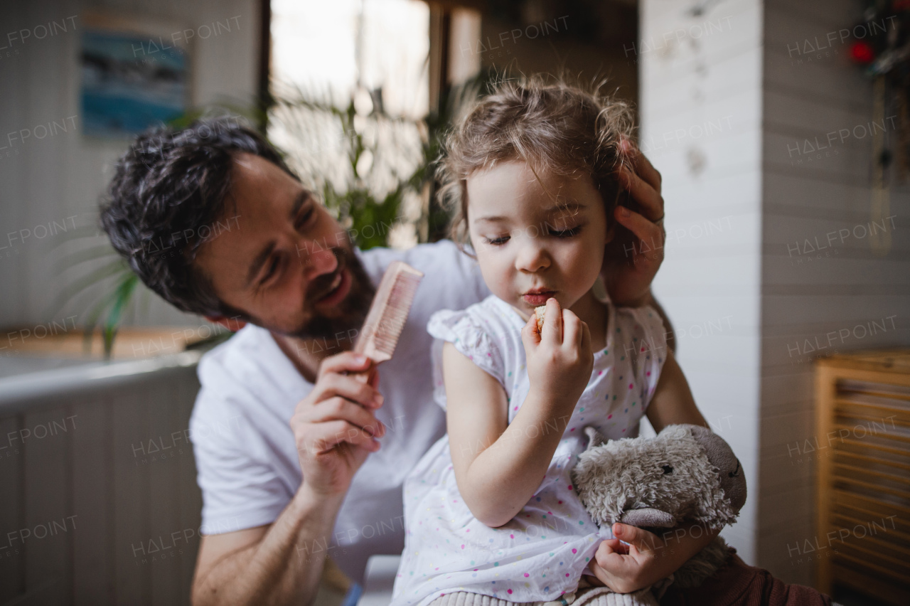 A mature father with small daughter indoors in bathroom at home, combing hair.