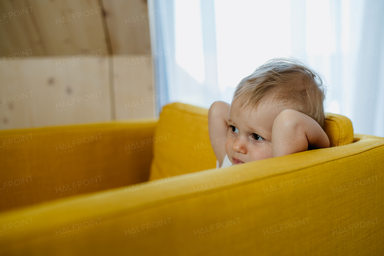 A little curious girl sitting on sofa and looking away.