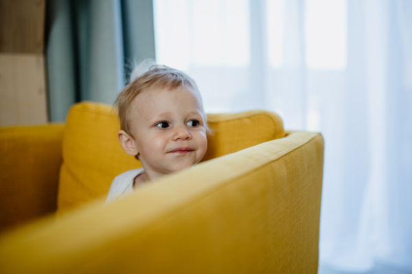 A little curious boy sitting on sofa and looking away.