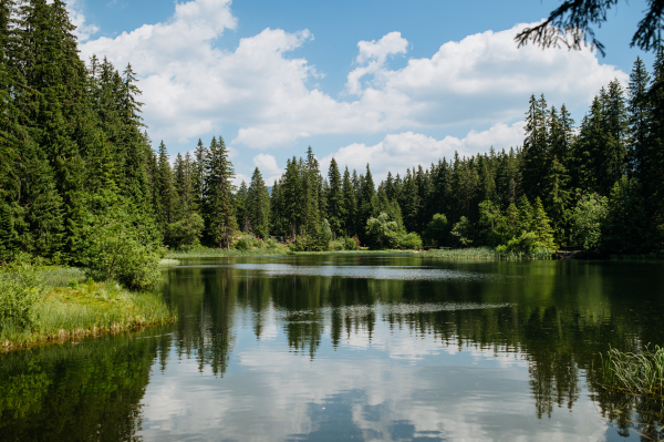 Beautiful landscape of mountain lake in Slovak Tatras on summer sunny day.