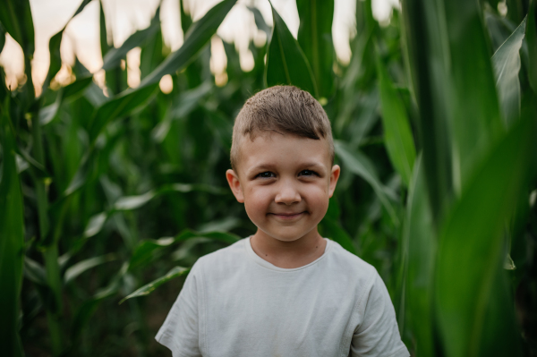 A little boy is standing in the field of corn in summer