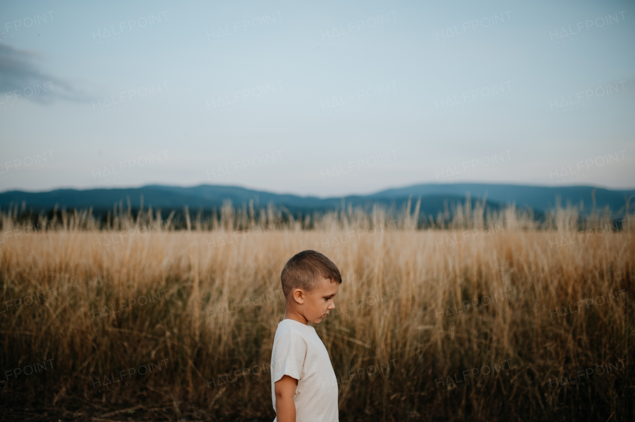 A little boy is standing in the field of wheat in summer