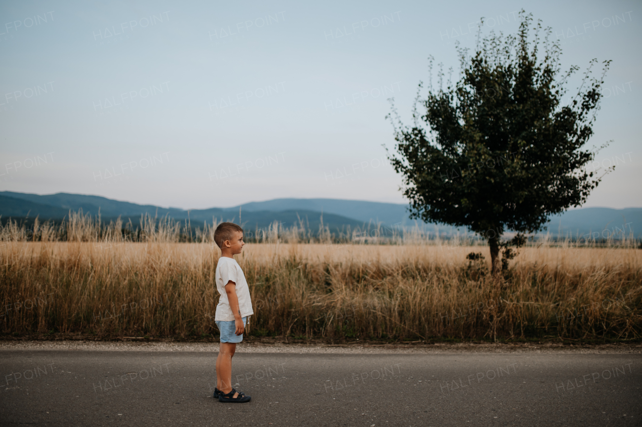 A little boy is standing in the field of wheat in summer