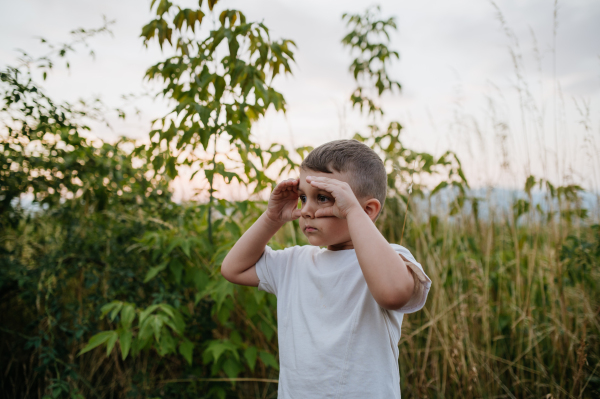 A little boy is standing in the field in summer