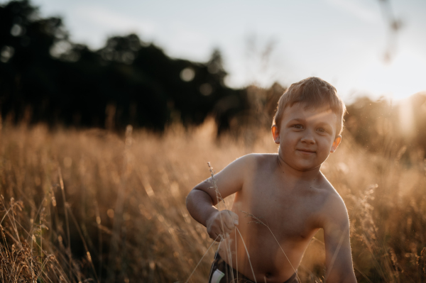 A little boy is standing in the field of wheat in summer