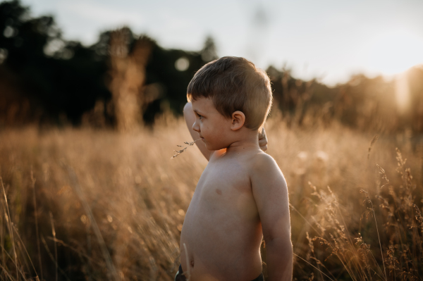 A little boy is standing in the field of wheat in summer