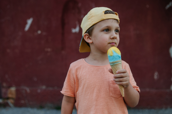 A little cute boy with ice cream outdoors in summer