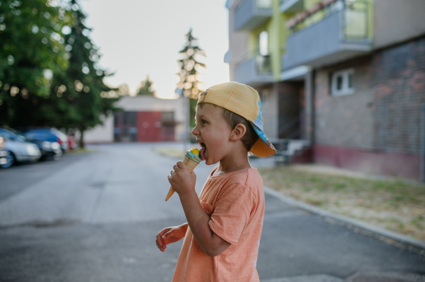 A little cute boy with ice cream outdoors in summer