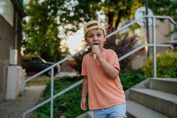 A little cute boy with ice cream outdoors in summer