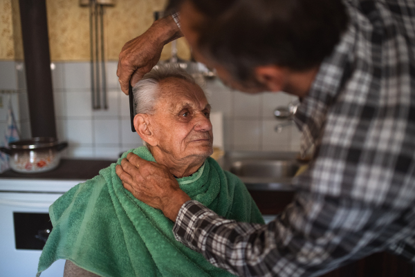 A portrait of man combing hair of elderly father indoors at home.