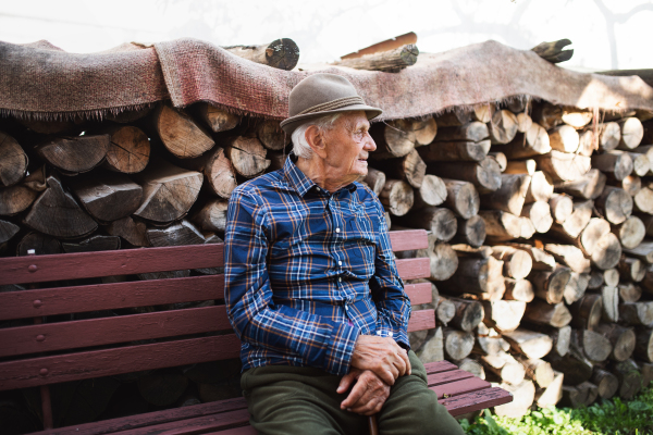 A portrait of elderly man sitting on bench outdoors in garden, resting.