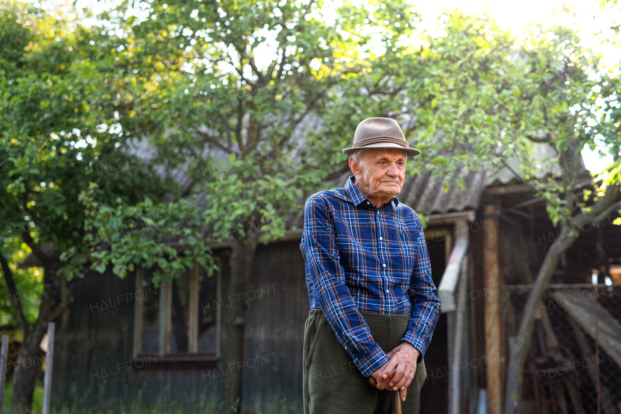 A portrait of elderly man standing outdoors in garden, resting.