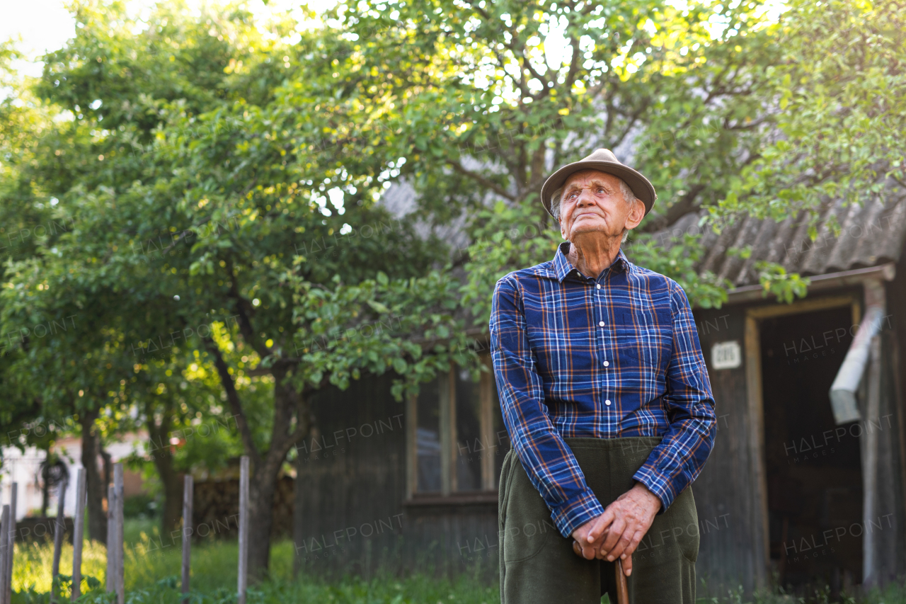 A portrait of elderly man standing outdoors in garden, looking up.