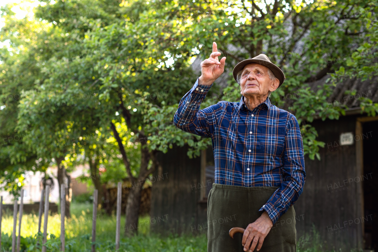 Portrait of elderly man standing outdoors in garden, looking up and pointing.