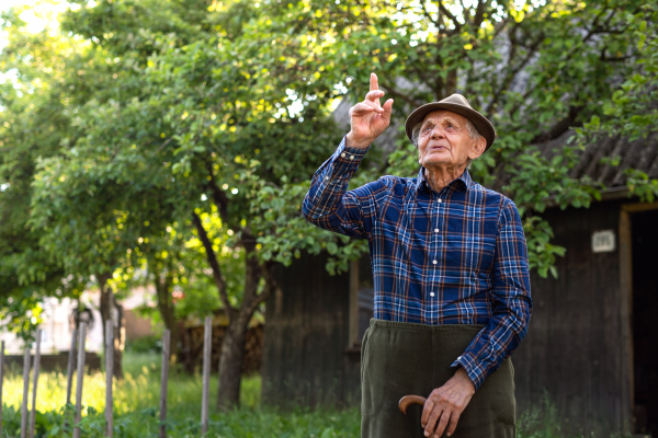 Portrait of elderly man standing outdoors in garden, looking up and pointing.