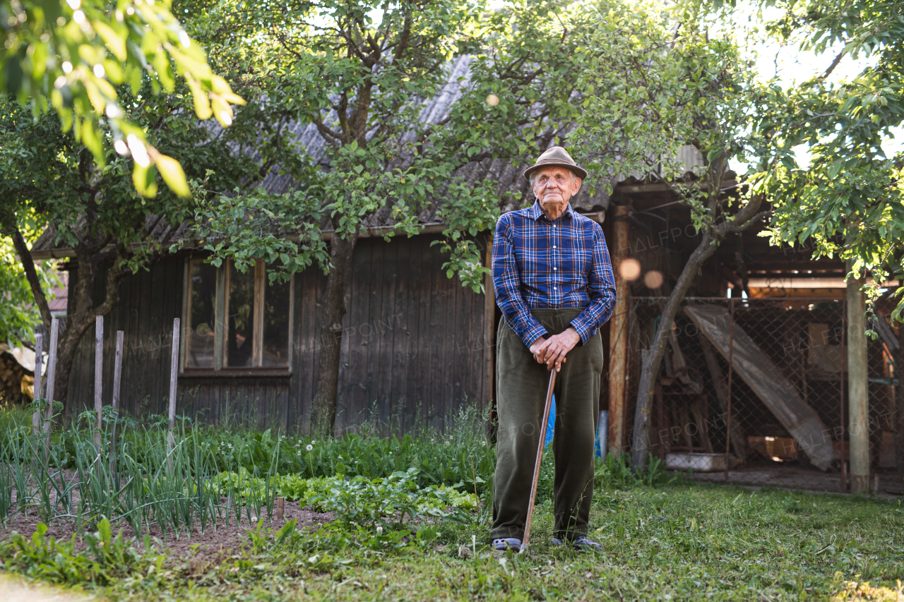 A portrait of sad elderly man standing outdoors in garden.