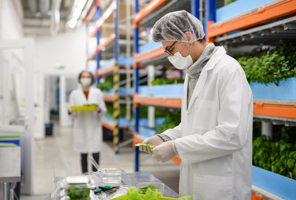 Side view of workers with face mask on aquaponic farm, sustainable business and coronavirus.