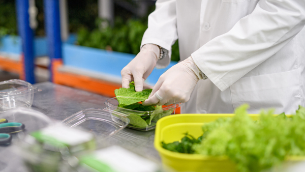 Unrecognizable worker with gloves working on aquaponic farm, sustainable business and coronavirus.