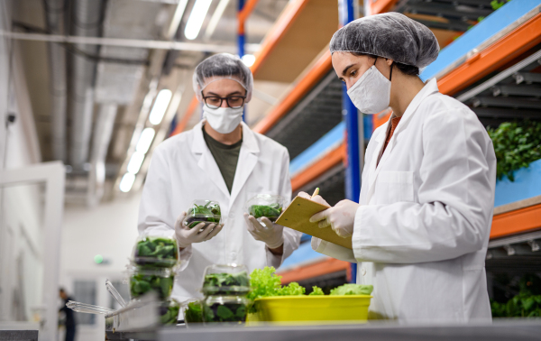 Side view of workers with face mask on aquaponic farm, sustainable business and coronavirus.