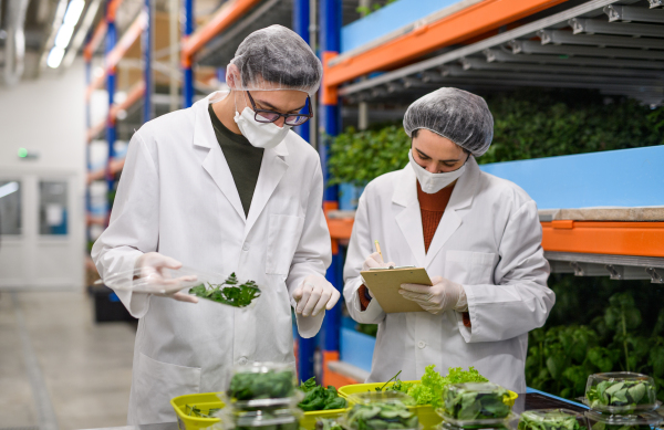 Front view of workers with face mask on aquaponic farm, sustainable business and coronavirus.