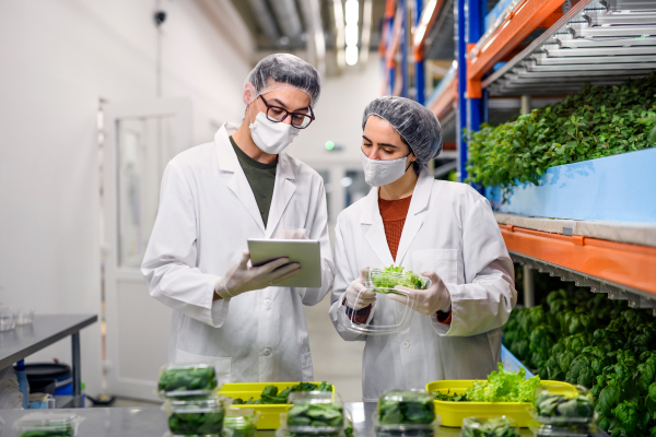 Front view of workers with face mask on aquaponic farm, sustainable business and coronavirus.