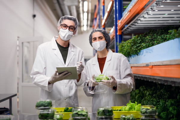 Front view of workers with face mask on aquaponic farm, sustainable business and coronavirus.