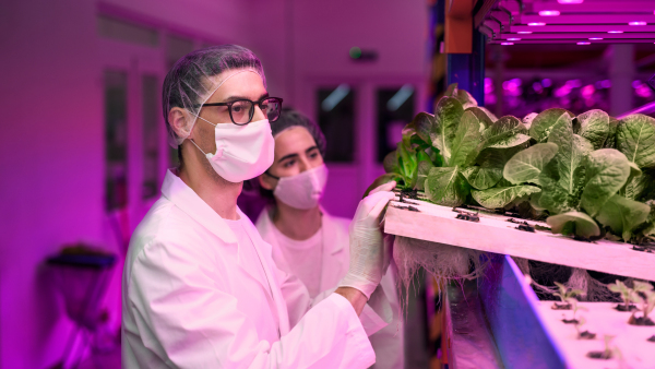 Side view of workers with face mask on aquaponic farm, sustainable business and coronavirus.